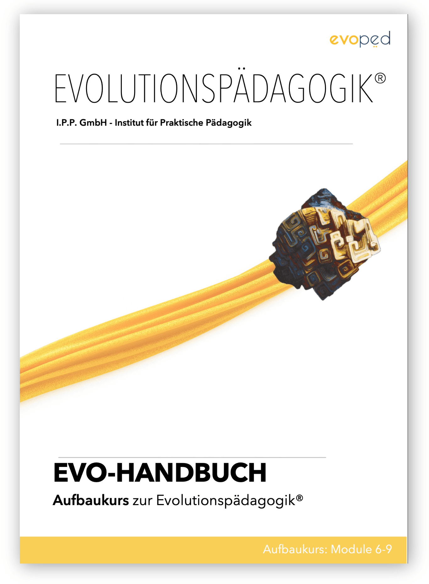 evo aufbaukurs